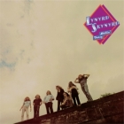 Lynyrd Skynyrd - Nuthin' Fancy